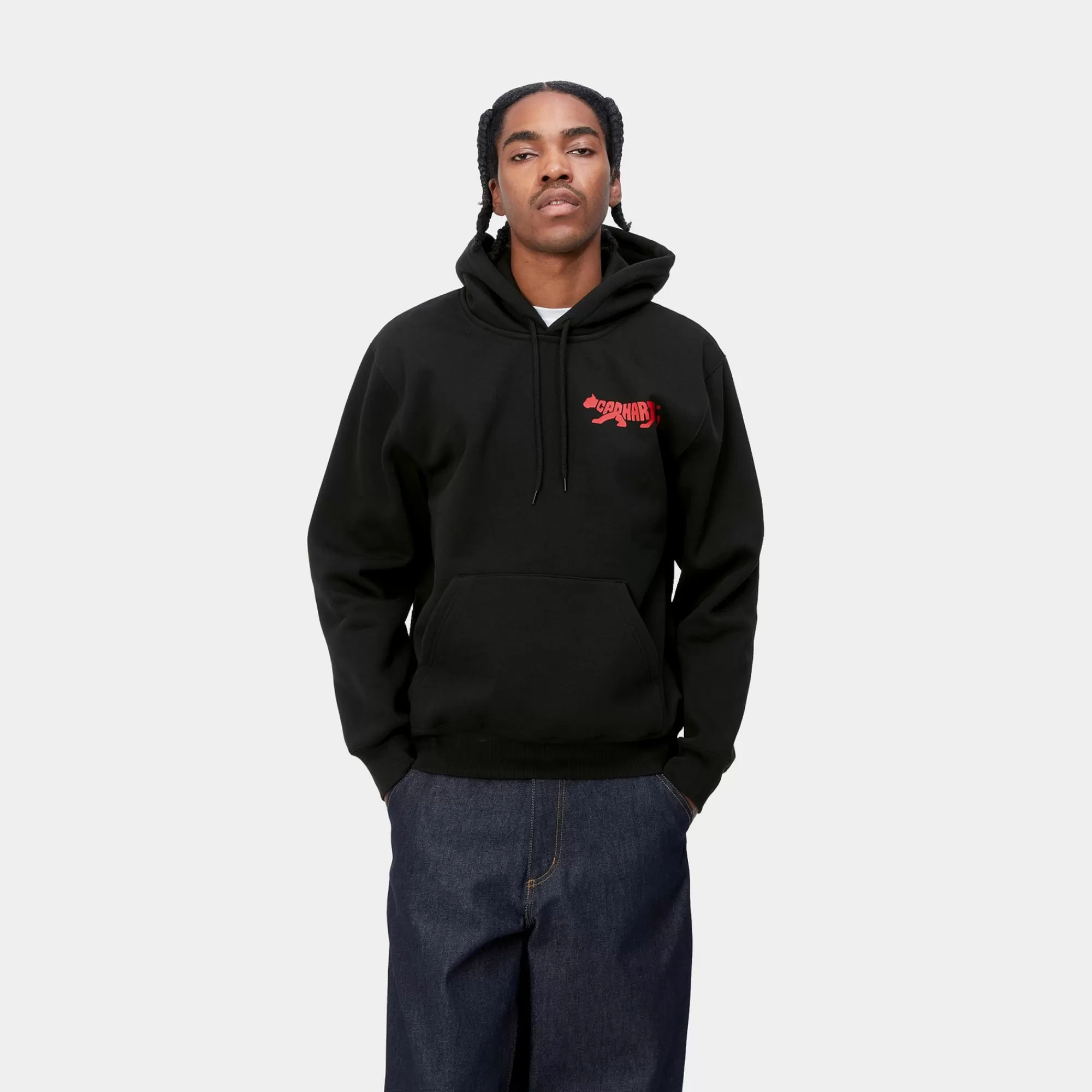 Carhartt WIP Sweats>Hooded Rocky Script Sweat