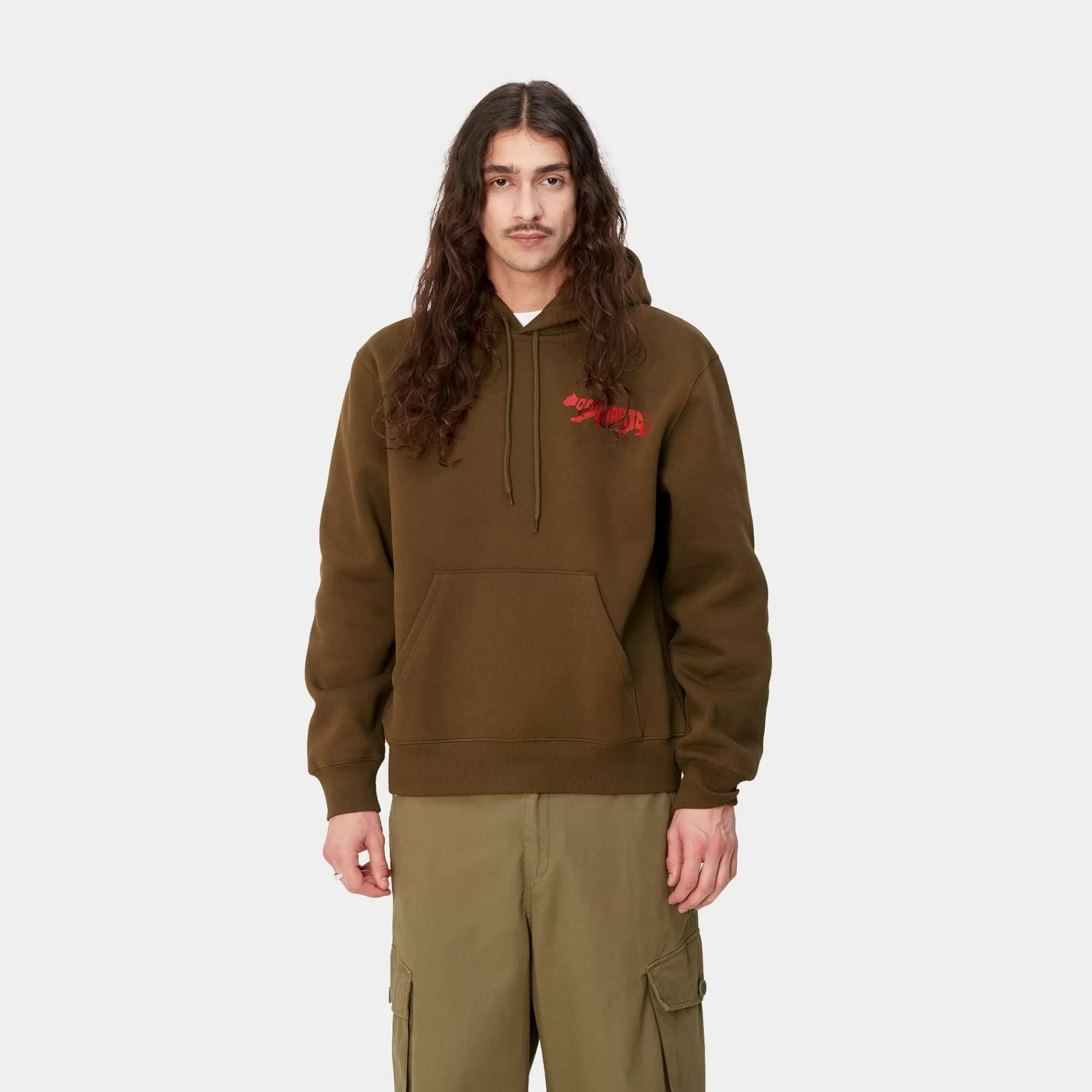 Carhartt WIP Sweats>Hooded Rocky Script Sweat