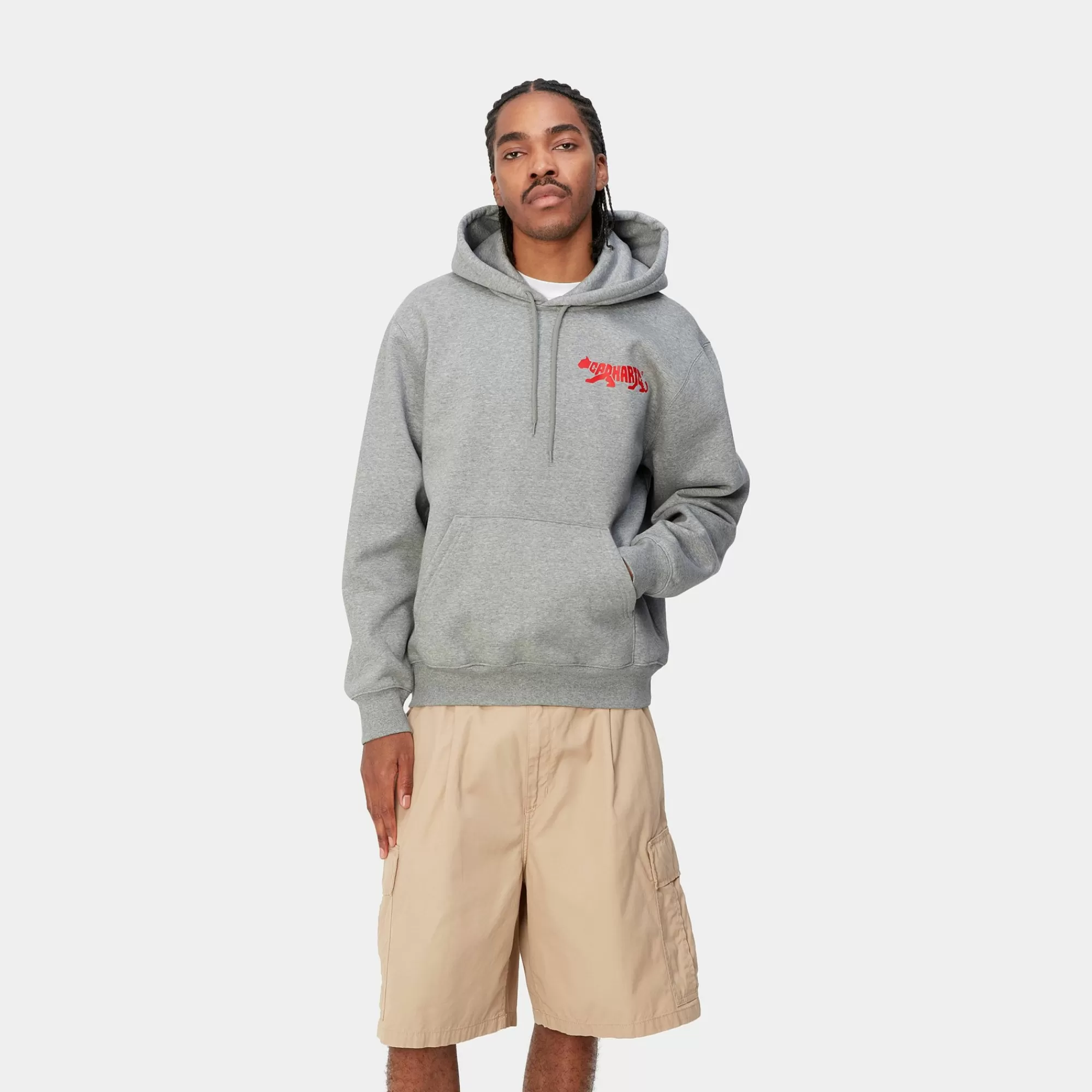 Carhartt WIP Sweats>Hooded Rocky Script Sweat