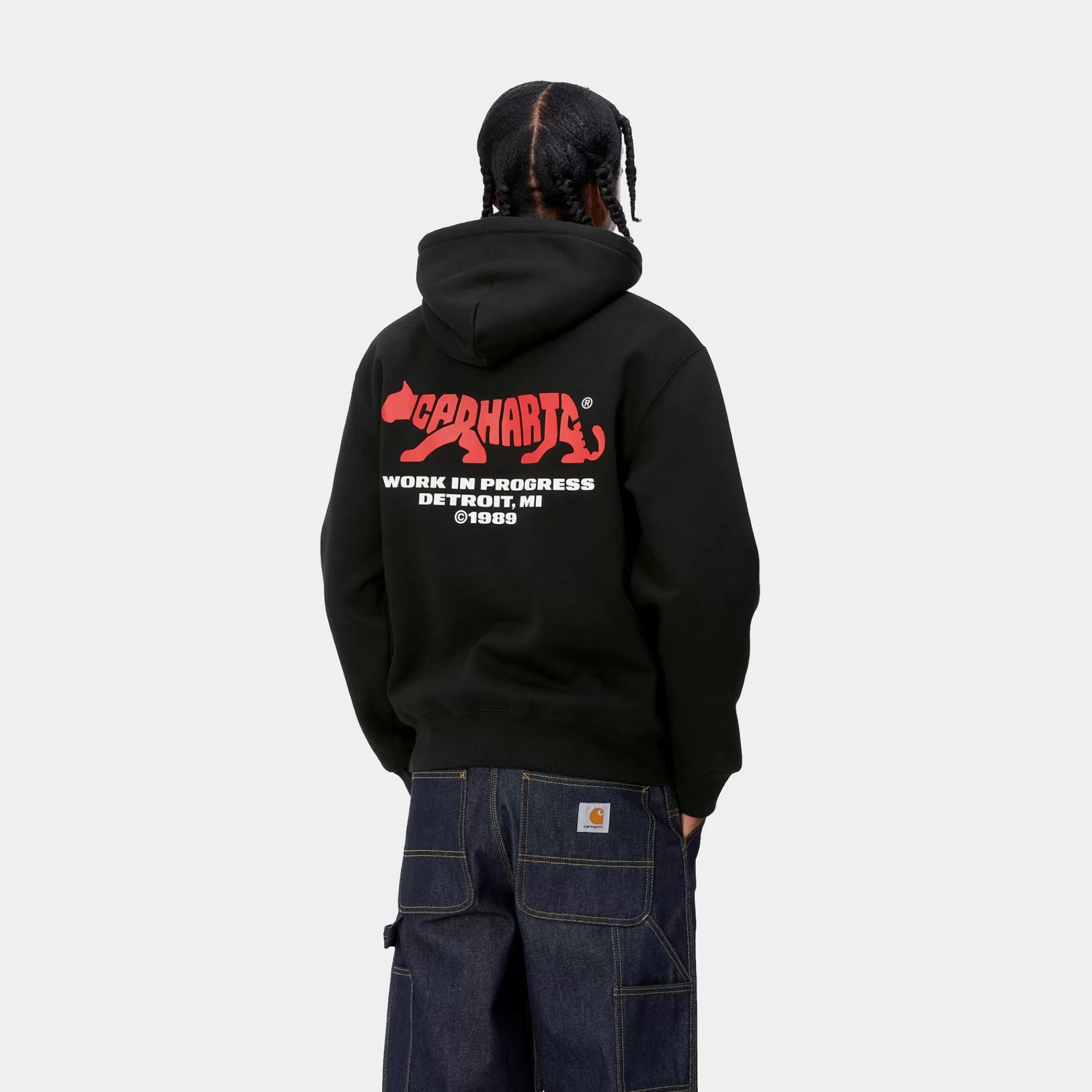 Carhartt WIP Sweats>Hooded Rocky Script Sweat