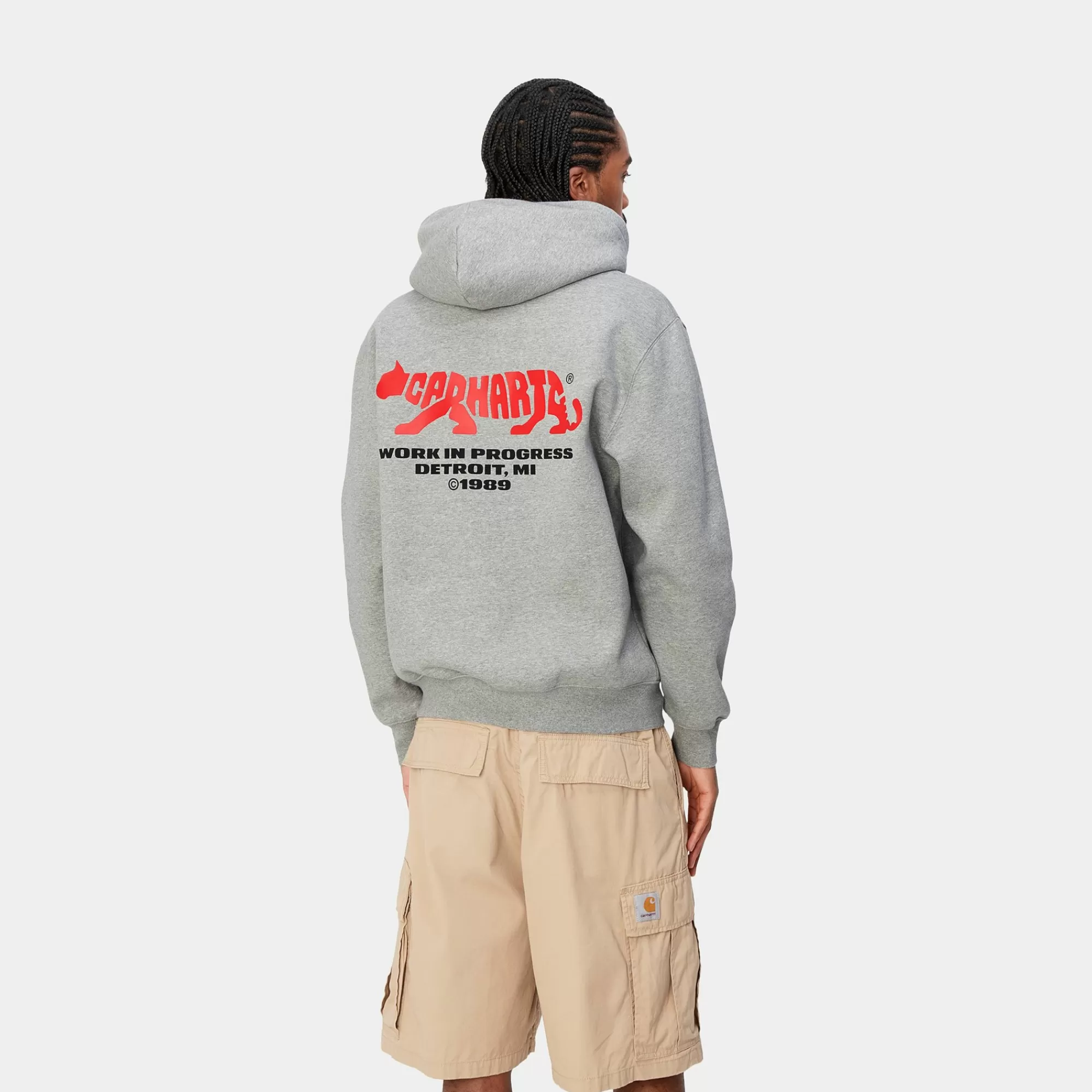 Carhartt WIP Sweats>Hooded Rocky Script Sweat