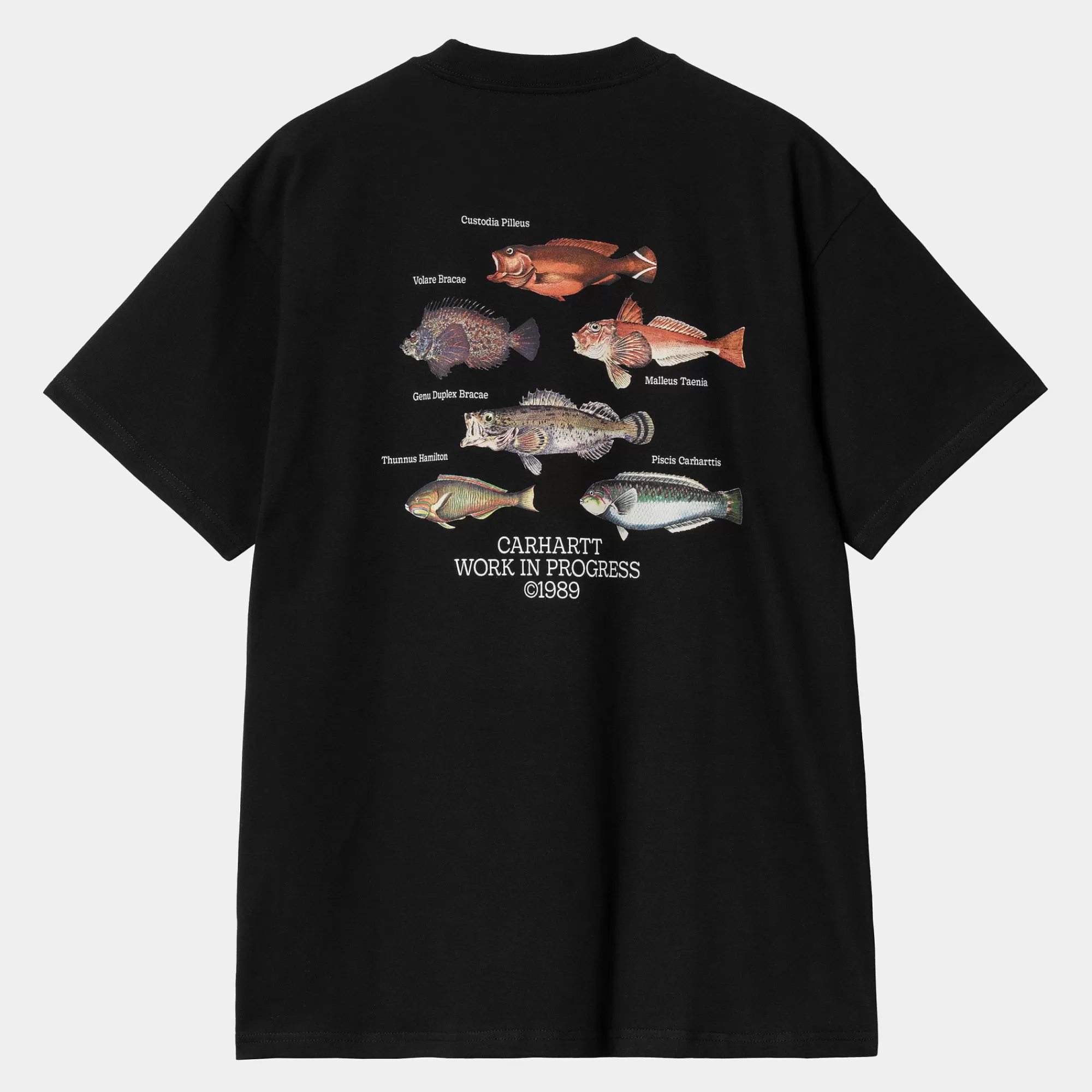 Carhartt WIP T-Shirts & Polos>S/S Fish T-Shirt